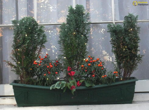 Islington N1 Handyman